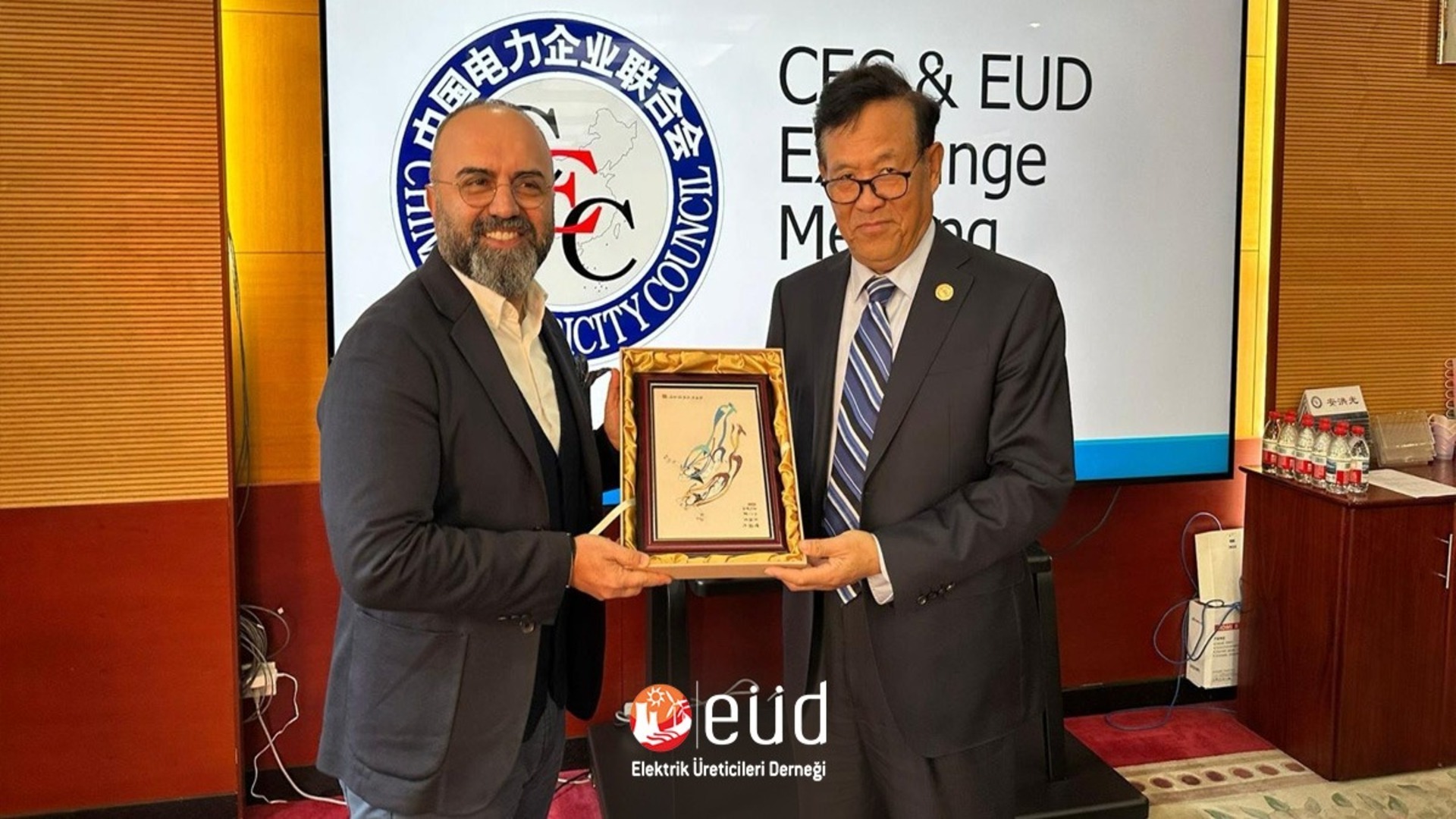 China Electricity Co...