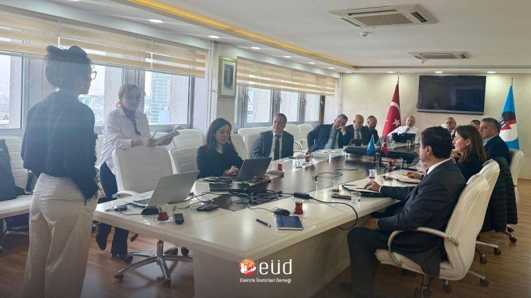 EPRI Görüşmeleri