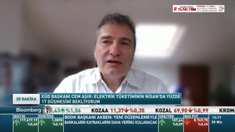 EÜD Chairman Cem Aşık: I expect electricity consumption to fall by 17 per cent in April